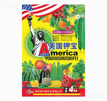 ����⛌�4kg-����ʩ