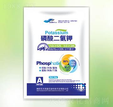 5kg��������-�|������