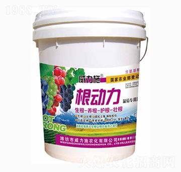 根動(dòng)力-威力施