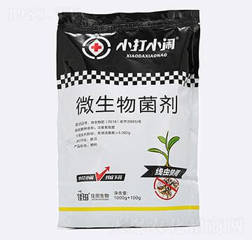 ���x(ch��ng)����΢�������-С��С�[-��������