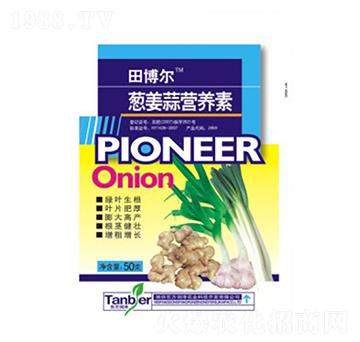 �[���������-�|����(r��n)��