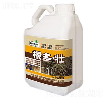 ������-�|����(r��n)��