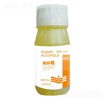 �Ǵ���-�~����(l��)