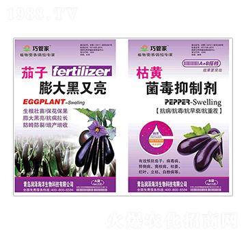 ������������+���S�������Ƅ�-�ɹܼ�-����