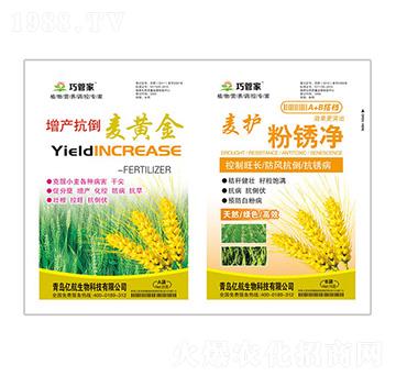 增產(chǎn)抗倒麥黃金+麥護(hù)粉銹凈-貝能生物