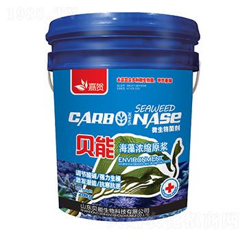 ؐ�ܺ����sԭ�{-ؐ������