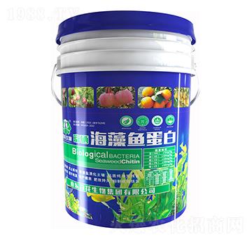 ���������~����-�ٻ�����