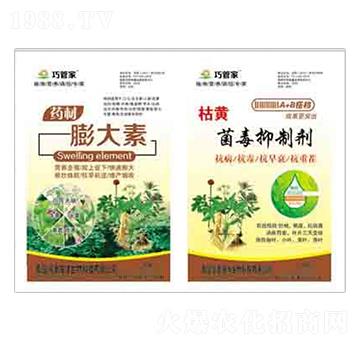 ˎ�������+���S�������Ƅ� ����