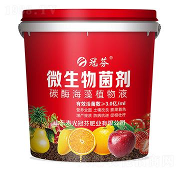 ΢������� ̼ø����ֲ��Һ �ڷ�