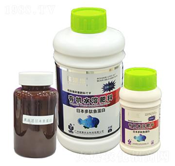 Ӣ��˼���ձ������~���� ����r�I(y��)