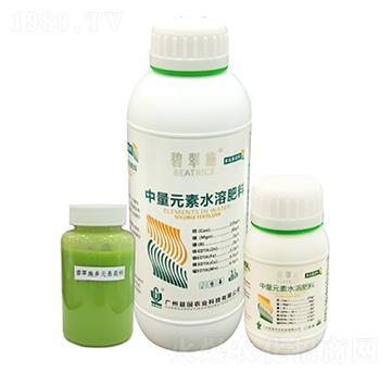 �̴�ʩ����Ԫ�һ��} ����r�I(y��)