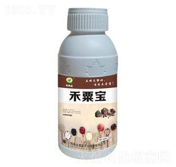 ��ˎ�Č��÷� ���ڌ� ��Mӯ�r(n��ng)�I(y��)