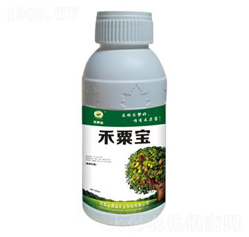 ����(sh��)��(zhu��n)�÷� ���ڌ� ��M(m��n)ӯ�r(n��ng)�I(y��)