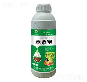 ���ڌ����V�V�ͣ� ��Mӯ�r�I(y��)