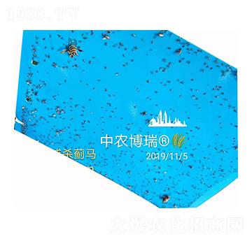 ���T�����E�R ���r����