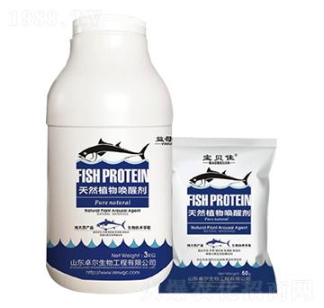 ��Ȼֲ��ф� ����r�I(y��)