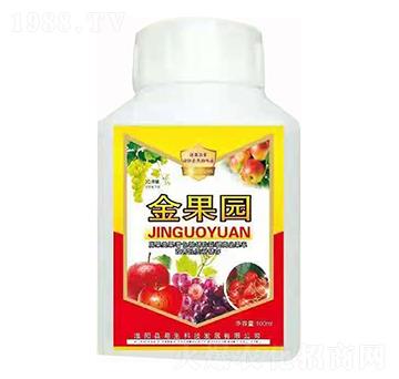 ����@ ����