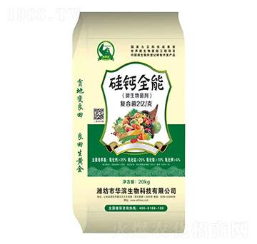 ΢�������-���}ȫ��-����r�I(y��)