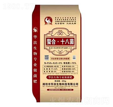 ΢�������-���ϡ�ʮ�˾�-����r(n��ng)�I(y��)