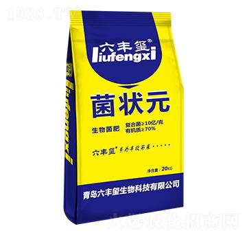 ΢�������-����Ԫ-���S�t