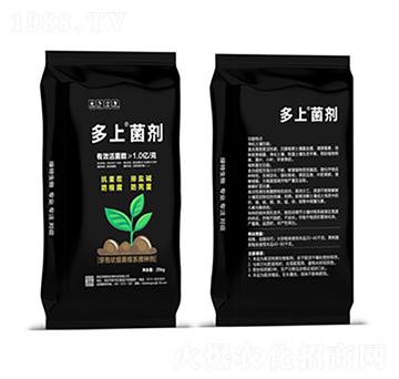 ���Ͼ��� �G������