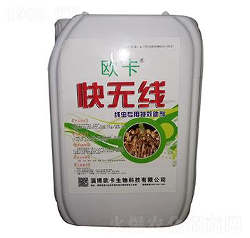 ���x�������� ��o�� �W��