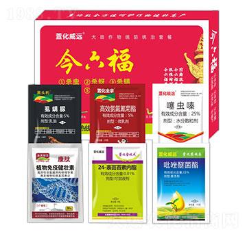 ��������y(t��ng)���y(t��ng)���ײ�-������-�滯���h(yu��n)