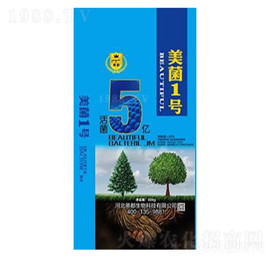 ����1̖(h��o) Ӣ������1