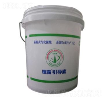 ֲ��������-��������