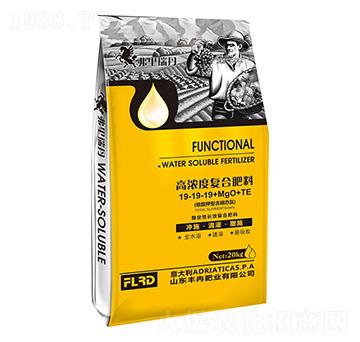 �ߝ�ȏ�(f��)�Ϸ���19-19-19+MgO+TE �SȽ�ʘI(y��)