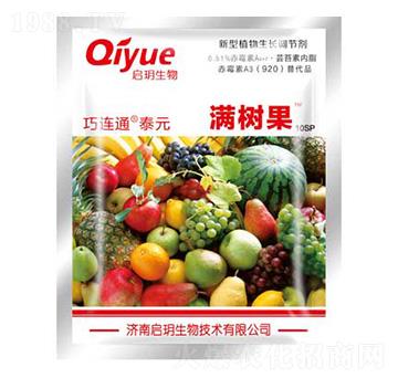 �M��������� ����