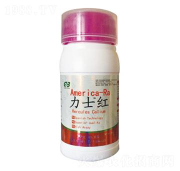 ��ʿ�t-���A��