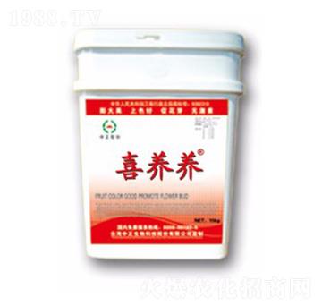 ϲ�B(y��ng)�B(y��ng)-���A��