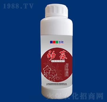 ���б��o��-��������--�{��r�I(y��)