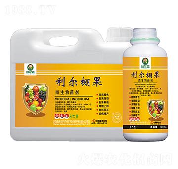 ΢�������-�������-����ɭ