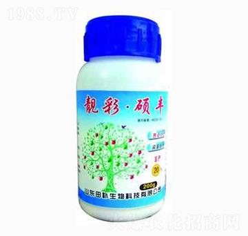 ���ʴT�S-���a(b��)