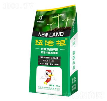 �~�ϸ�-���ֲ��