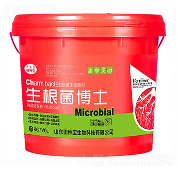 ΢�������-��������ʿ-��N��