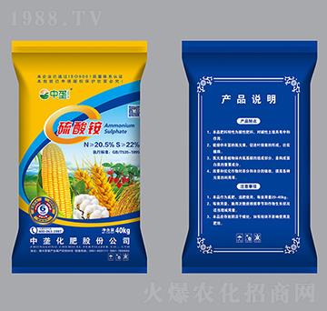 40kg�����@-�Љ�