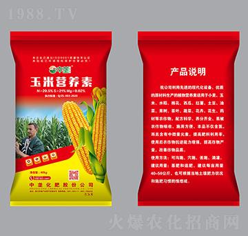 ���נI(y��ng)�B(y��ng)�أ��t����-�Љ�