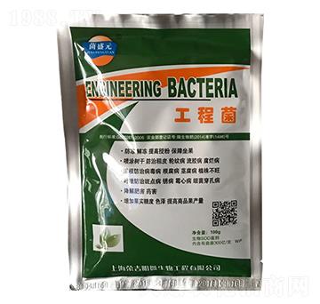 ���̾�-�s����