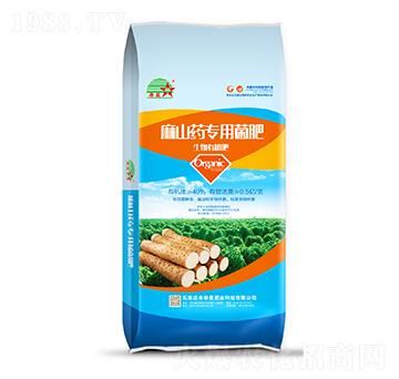 ��ɽˎ��(zhu��n)�÷�-ϣ�ǷʘI(y��)