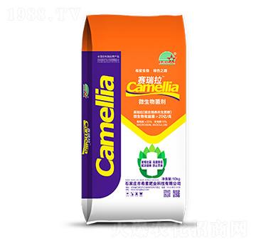 ΢�������-ِ����-ϣ�ǷʘI(y��)