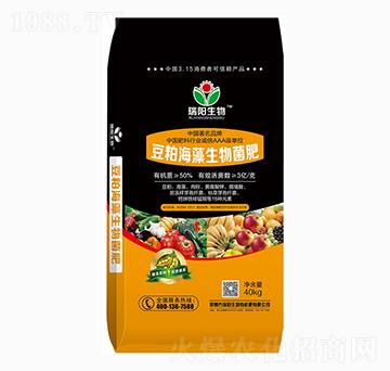 ���ɺ����������-�������