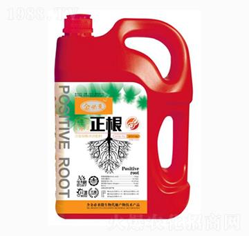 生根水溶肥料-正根-金必來