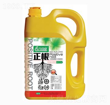 含氨基酸水溶肥料-正根-金必來(lái)