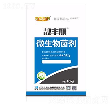 ΢�������-�n�S��-�Pʢ�ʘI(y��)