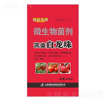 40kg΢�������-������-�Pʢ�ʘI(y��)