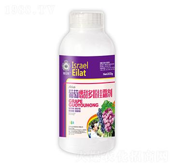 ���������ے�˪?ji��ng)?��˲