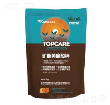 �VԴ�S�����-���_(d��)